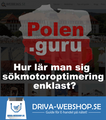 Polen projekt